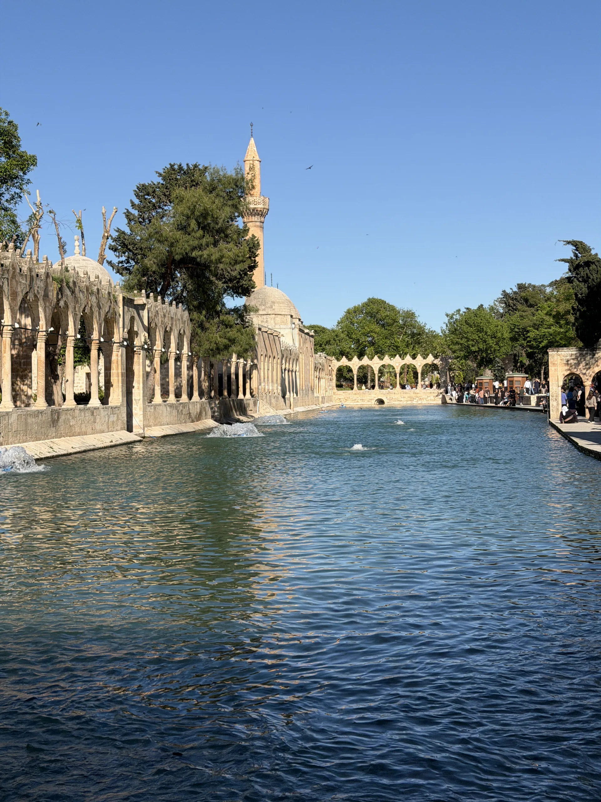 Şanlıurfa Balıklıgöl